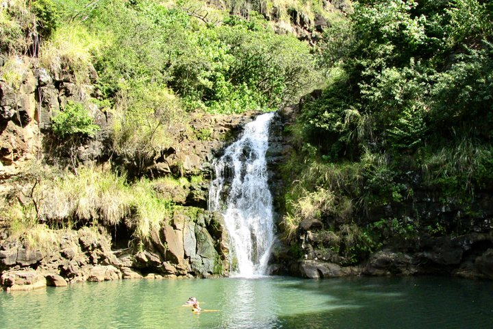 Oahu North Shore Experience: Waimea Waterfall & Beach Time - Photo 1 of 11
